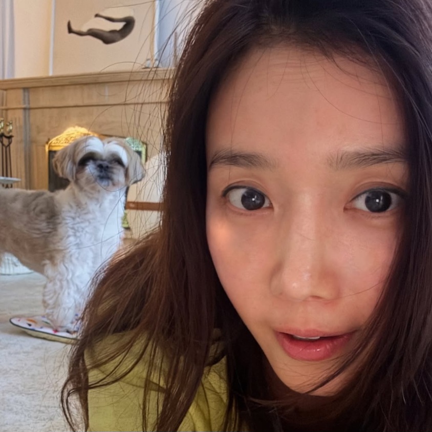 이번에 공개된 내용은 무엇일까?