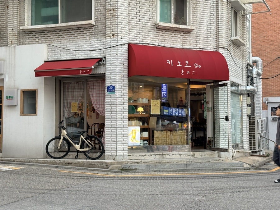 키노코 사진 2