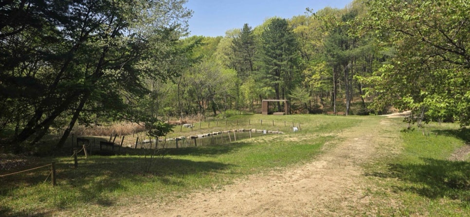 A grassy clearing ringed by trees with a footpath alongside at Samneung