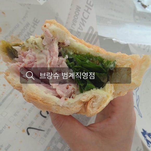 브랑슈 사진 5