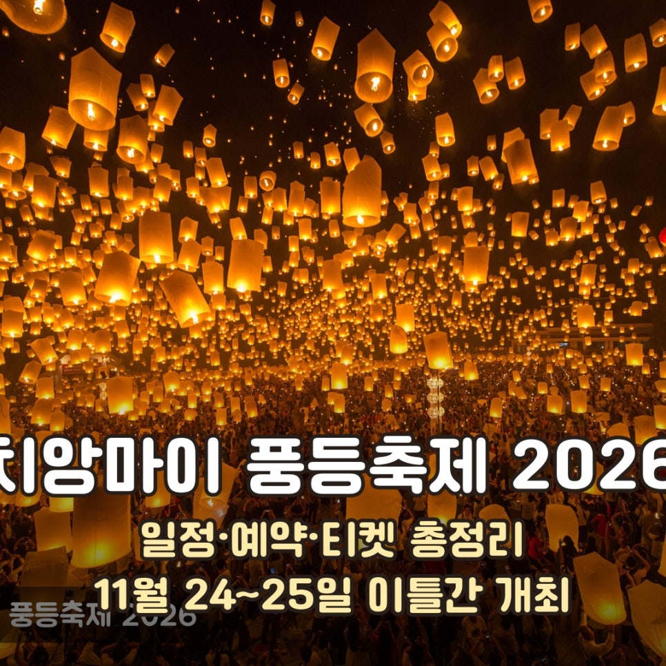 치앙마이 풍등축제 밤하늘을 수놓는 수천 개의 풍등 장면