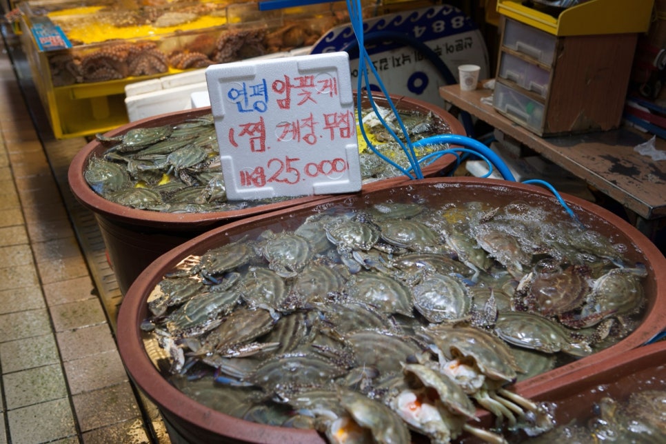 인천종합어시장 좌판의 큰 대야에 살아 있는 꽃게가 가득 담긴 모습