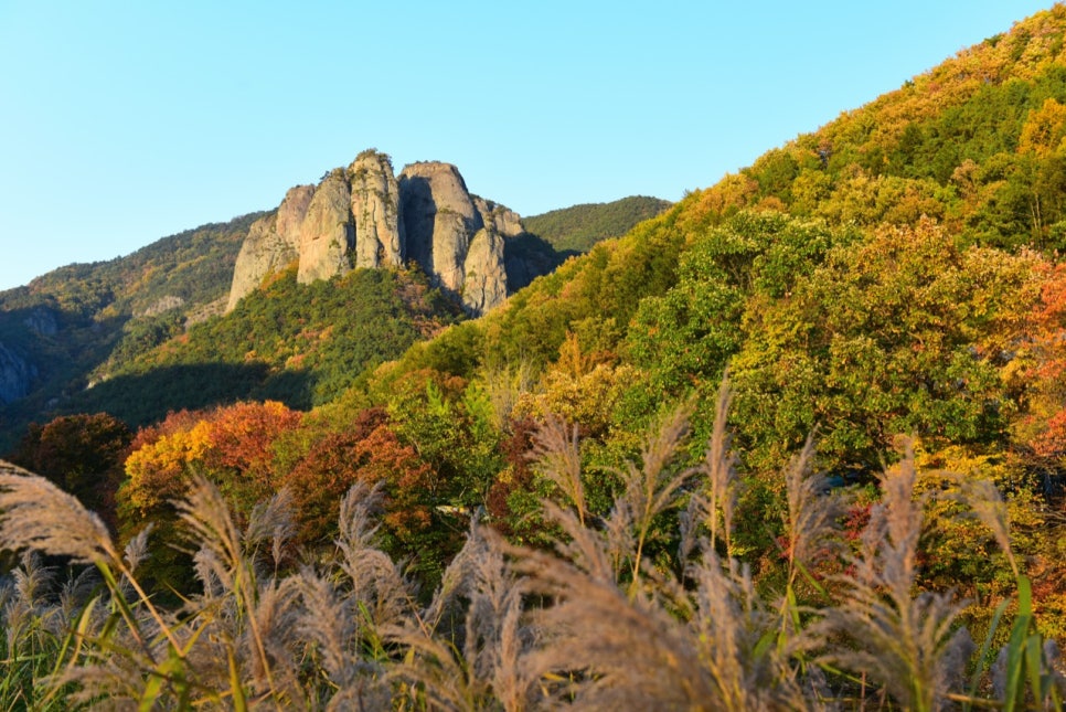 Juwangsan's rock peaks seen from the Sangui zone entrance, with red and yellow autumn woods below them