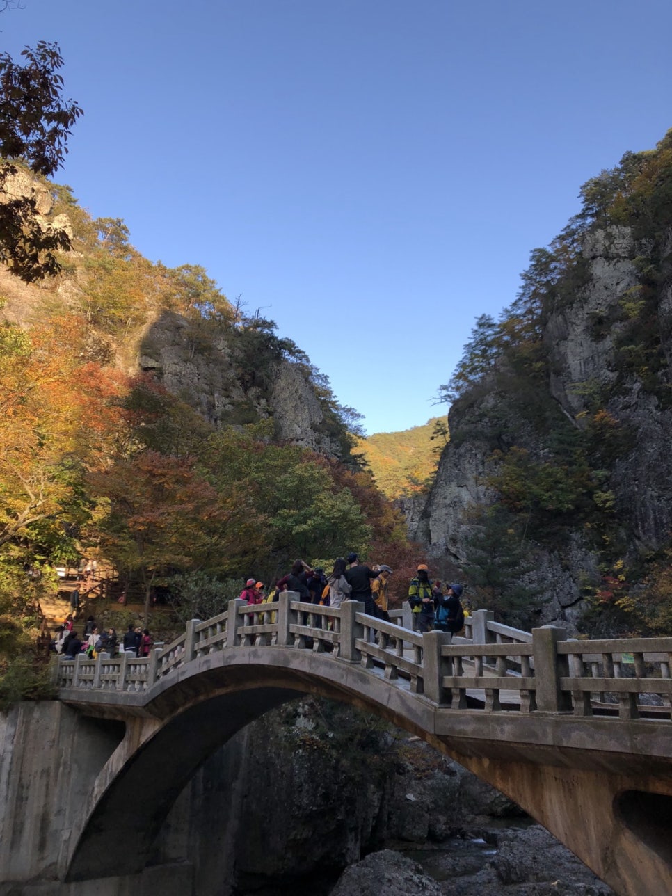Red maples hanging over the Haksogyo bridge in Juwang Valley with the valley cliffs behind