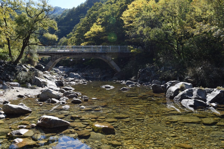 지리산 뱀사골 계곡의 가을... : 네이버 블로그