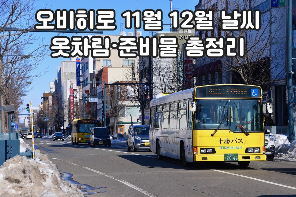 홋카이도 오비히로 11월 12월 날씨 옷차림 준비물 총정리
