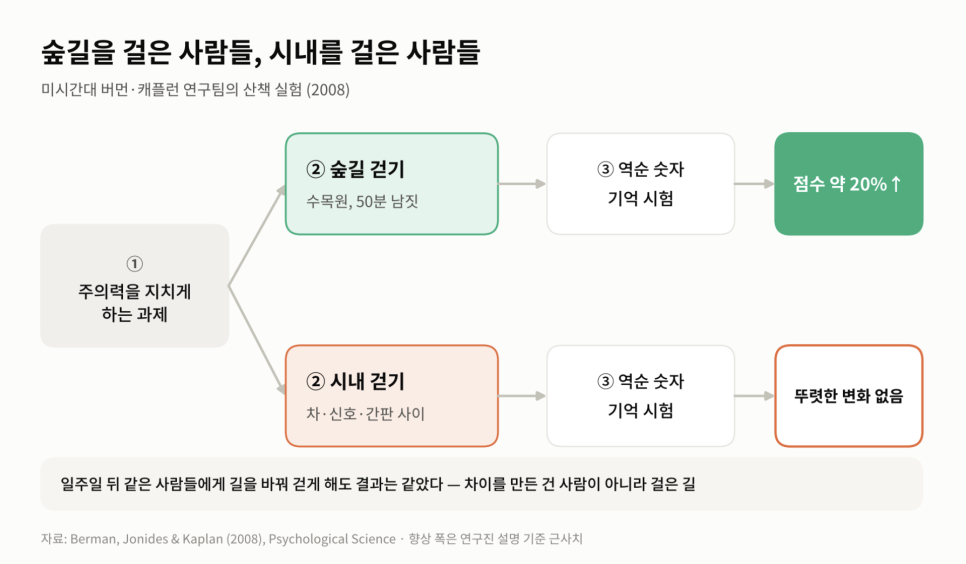 이어지는 이야기에는 무엇이 담겼을까?