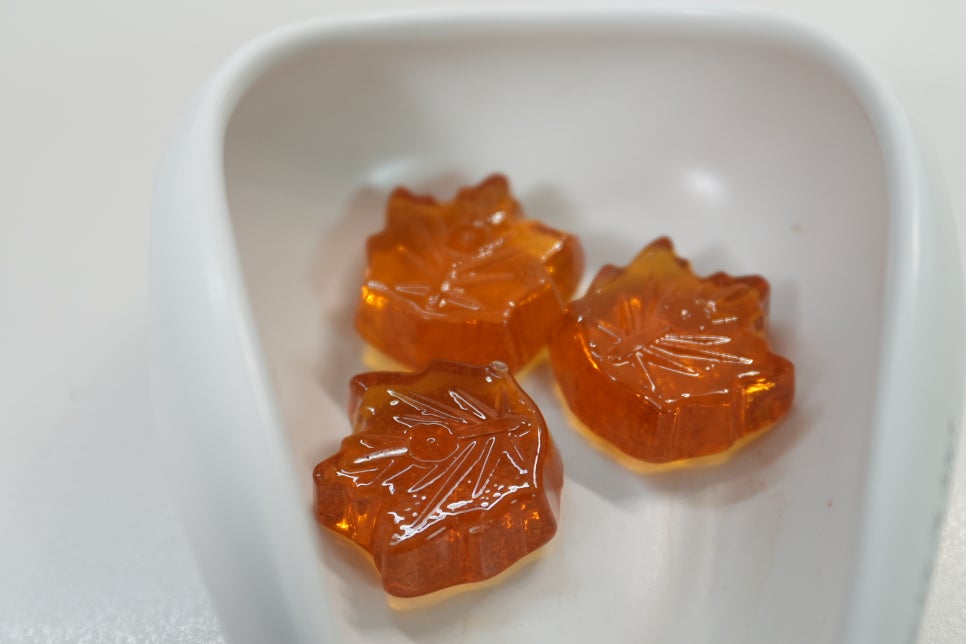 할로윈 사탕 '저혈당 캔디' 추천, 터키힐 메이플 캔디로 준비하는 가을 간식