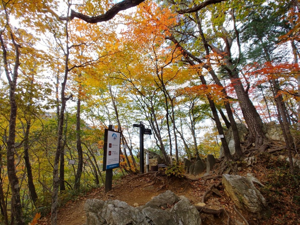 A trail signpost on the Saridari Byeongchang route surrounded by trees in autumn colour