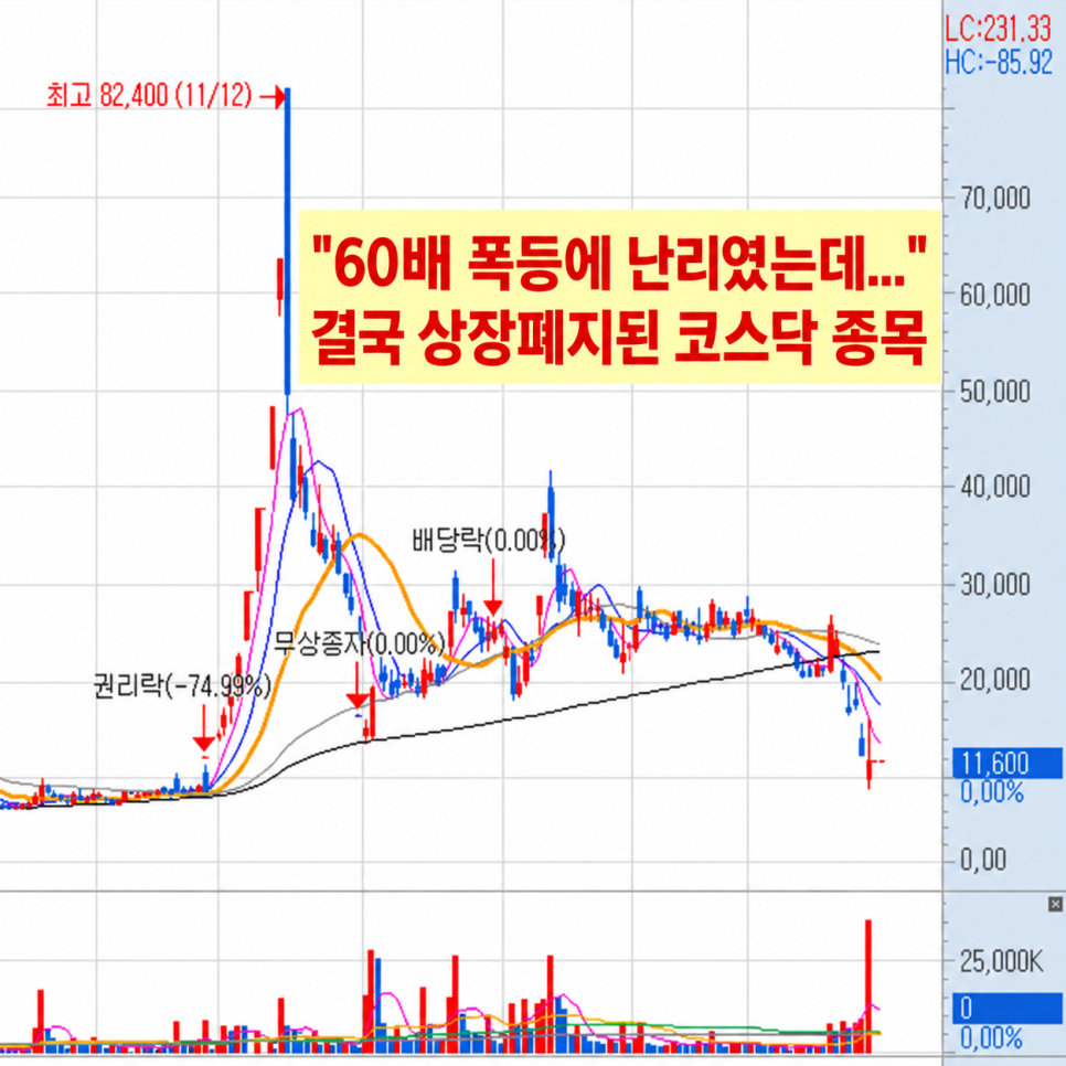 수익에 관해 어떤 내용이 나왔을까?