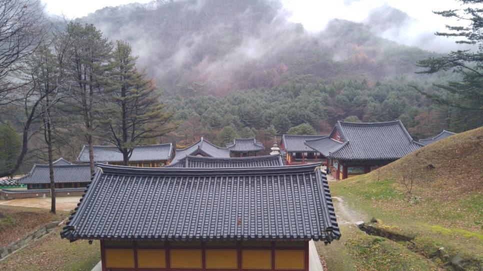 Temple halls of Guryongsa seen from the hill behind on a rainy day, with wet autumn leaves