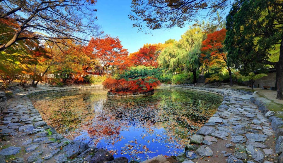 Red maples and blue sky reflected in the pond at Deoksugung
