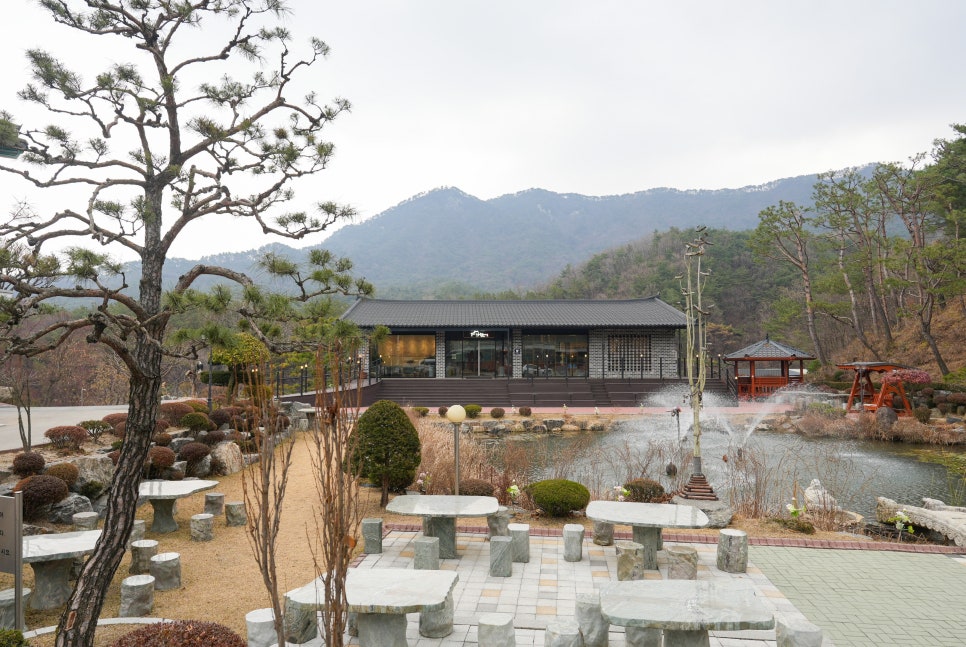 소니 A7C2 리뷰, 블로그용 카메라 본체와 E마운트 렌즈 조합
