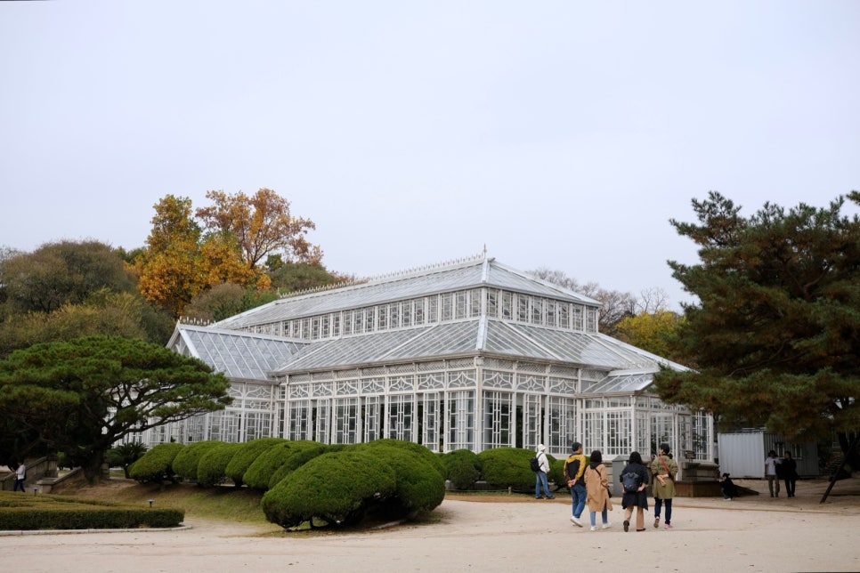 늦가을 창경궁 대온실 앞을 걷는 관람객들