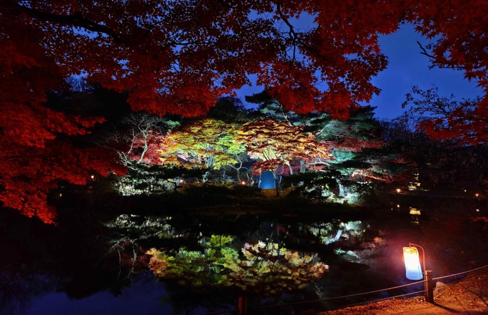 Floodlit red maples reflected in the dark water of Chundangji pond at Changgyeonggung