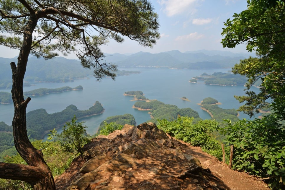Chungju Lake and the crocodile-shaped ridges framed by pine branches