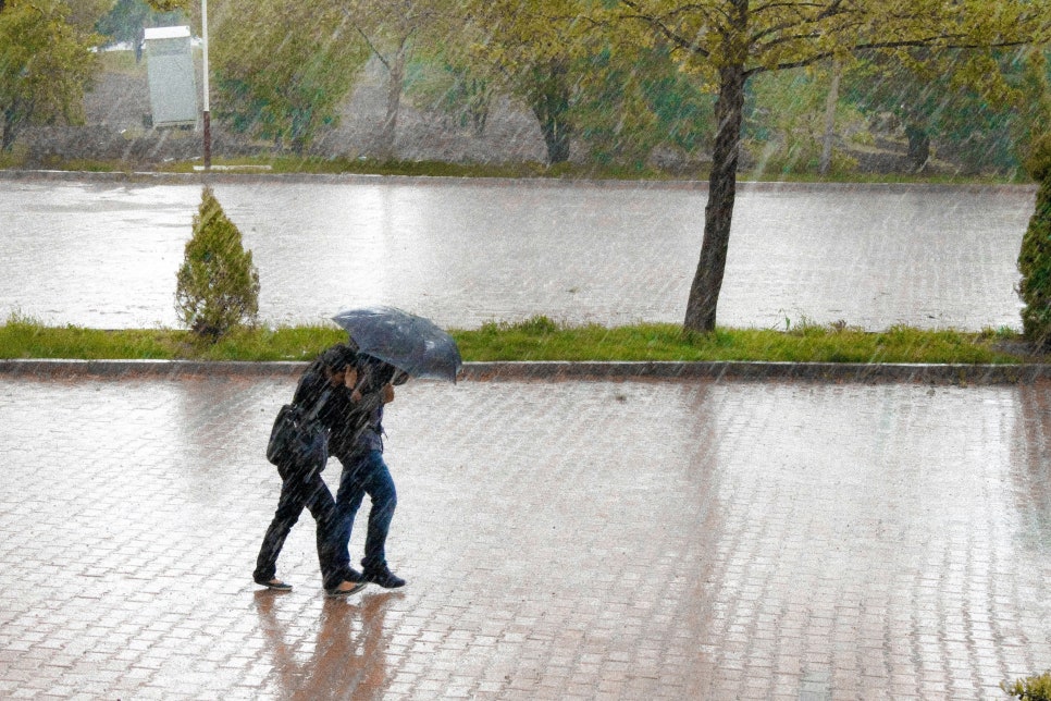 이 대목에서 확인할 내용은 무엇일까?