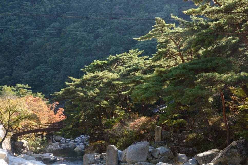 단풍철 계곡 바위 위에 선 정자 농산정 일대