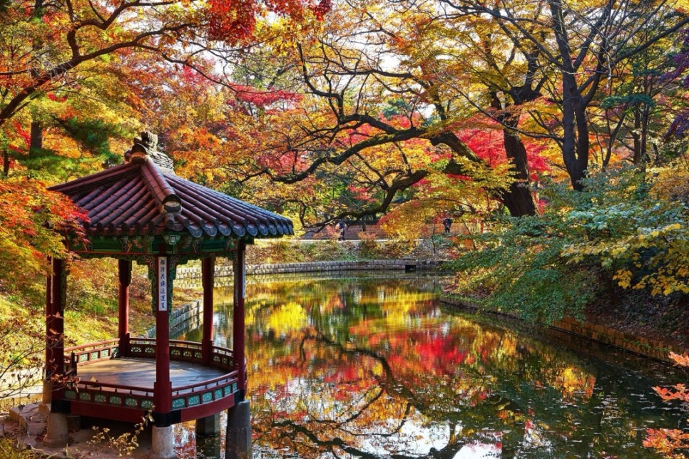 Chundangji pond at Changgyeonggung lit at night