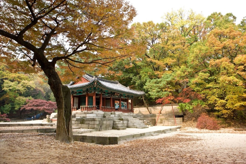 Yeonghwadang pavilion with a large tree and fallen leaves