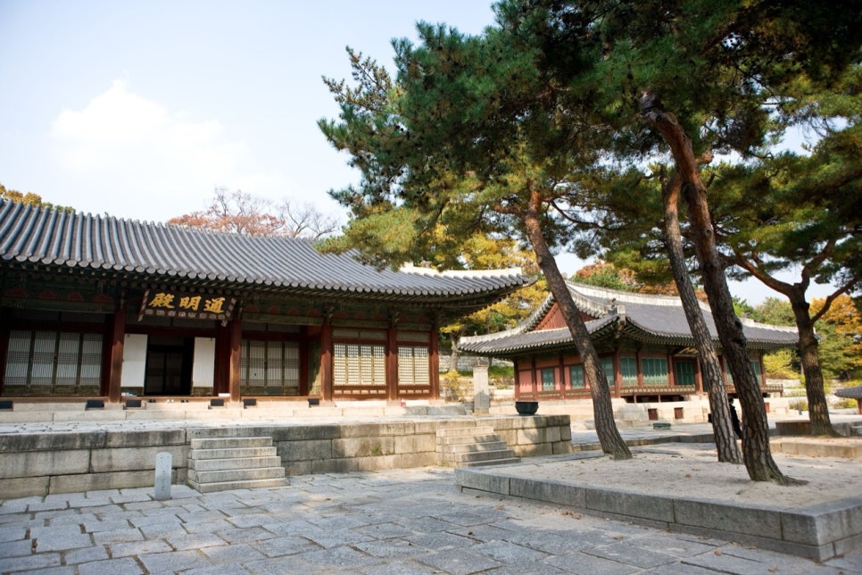 Tongmyeongjeon hall's name board beside a pine tree