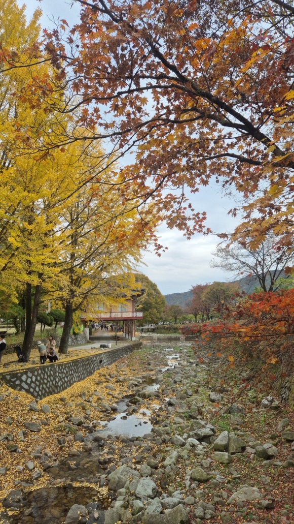 [제천] 제천 가을 단풍 명소 배론성지!아이 손 잡고 지금 꼭 가야하는 이유🍂 : 네이버 블로그