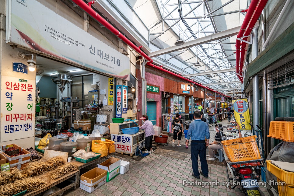 제주도 가족여행 제주공항 근처 가볼만한곳 제주 동문시장 : 네이버 블로그