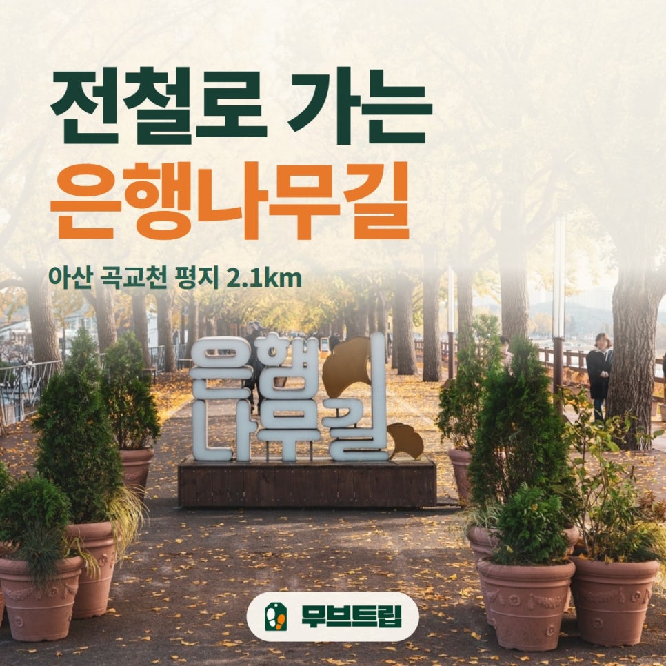 표지 사진: 한국관광공사 포토코리아(박장용), 2023년 11월 촬영, 공공누리 제1유형