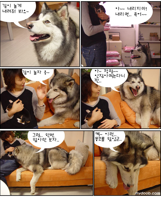 비니스토리 이미지