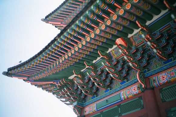단청 이미지