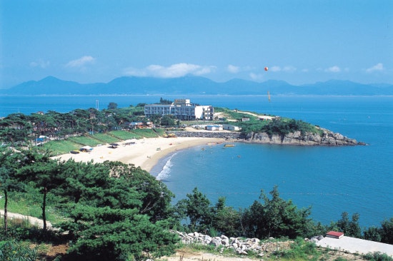 변산반도젓갈 이미지