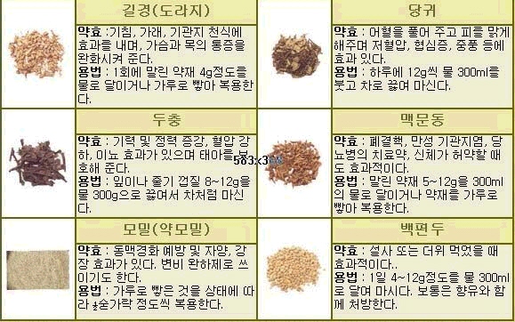 몸에좋은것들 이미지
