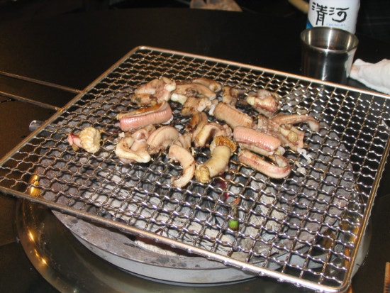 산꼼장어 이미지