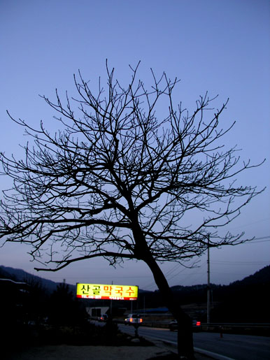산골막국수 이미지