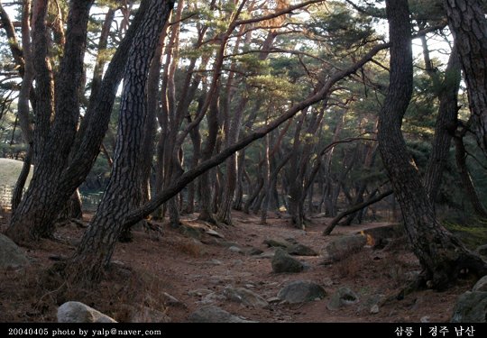 동광PC방 이미지
