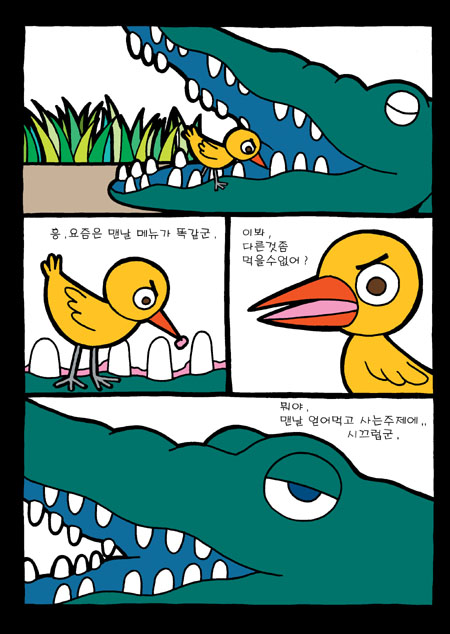 악어새 이미지