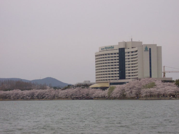 보문(부산) 이미지