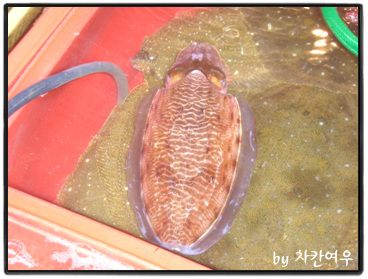 꼴딱꼴딱 이미지
