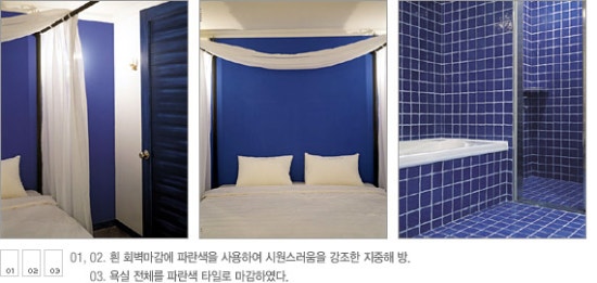 애니텔 이미지