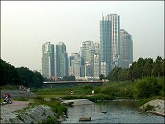 웰빙건강나라 이미지
