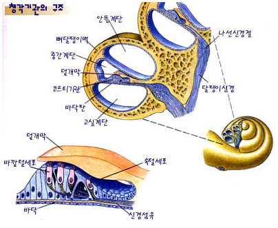 막고막창 이미지