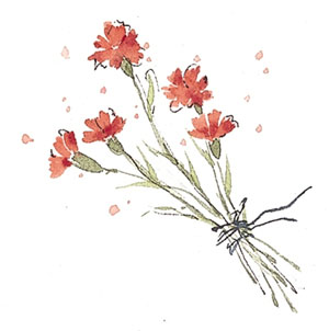 순우리 이미지