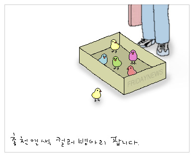 하얀비식품 이미지