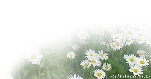 컨추리꼬꼬 이미지