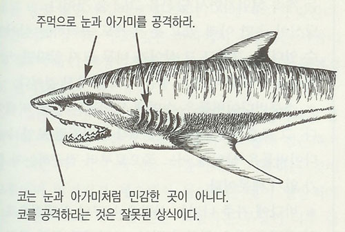 워스트케이스 시나리오 이미지