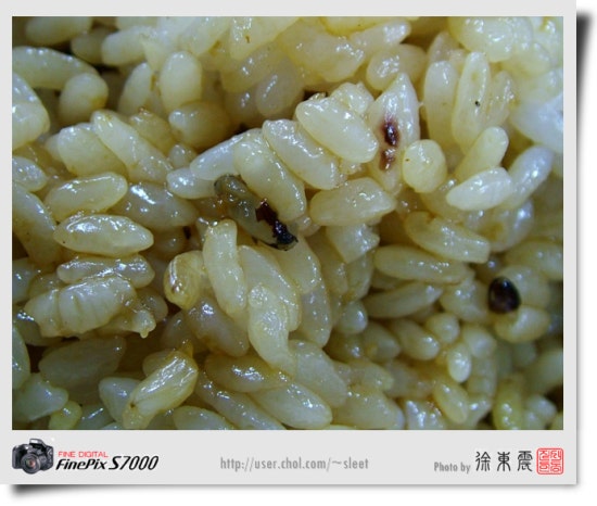삼삼구이 이미지