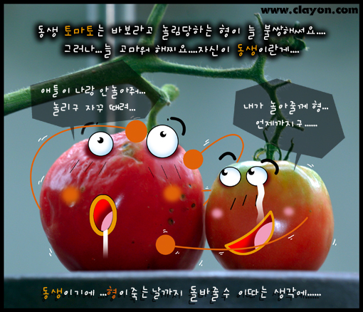 동그라미 이미지