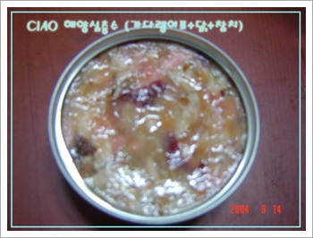 해양참치 이미지