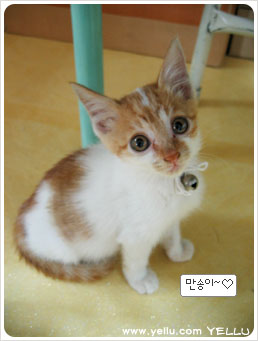 (주)만송 이미지