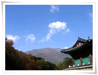 파란하늘을 보자 이미지